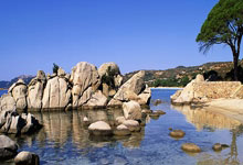 天涯社区神贴，那些在网络上疯传的神奇故事！